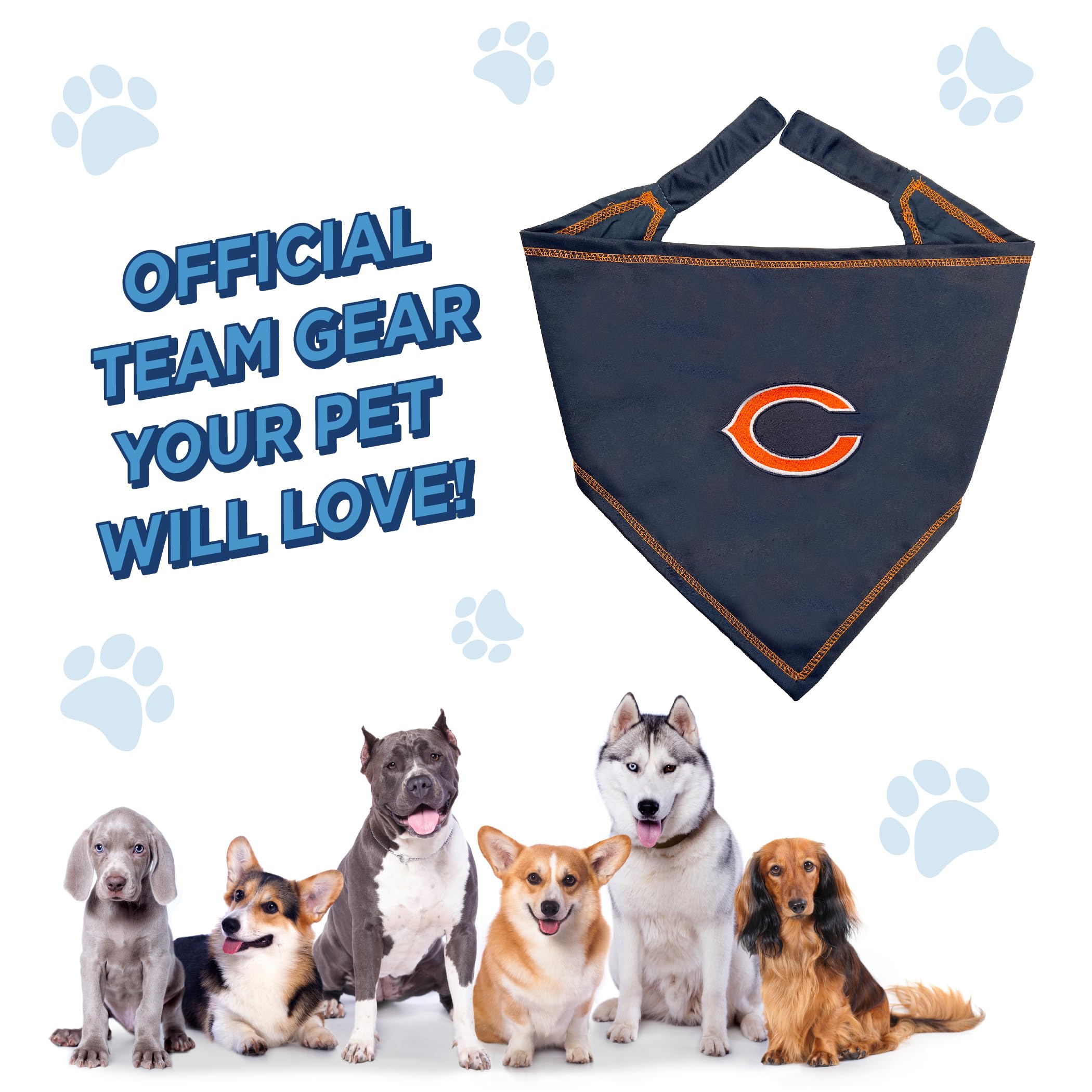 Pets First bandana en situation de fête met en valeur look festif du compagnon