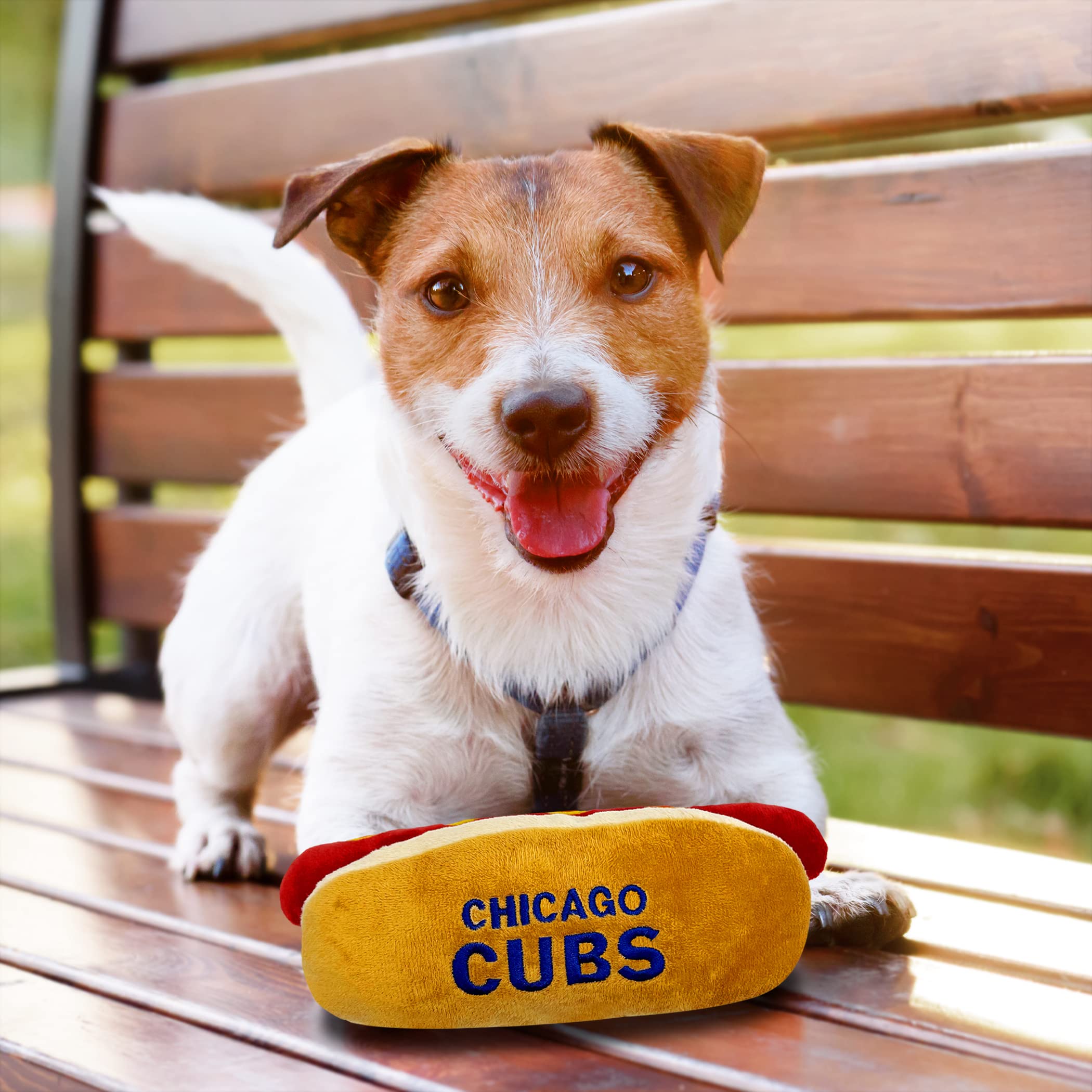 Pets First chien tenant le hot-dog en jouant pour interaction et divertissement