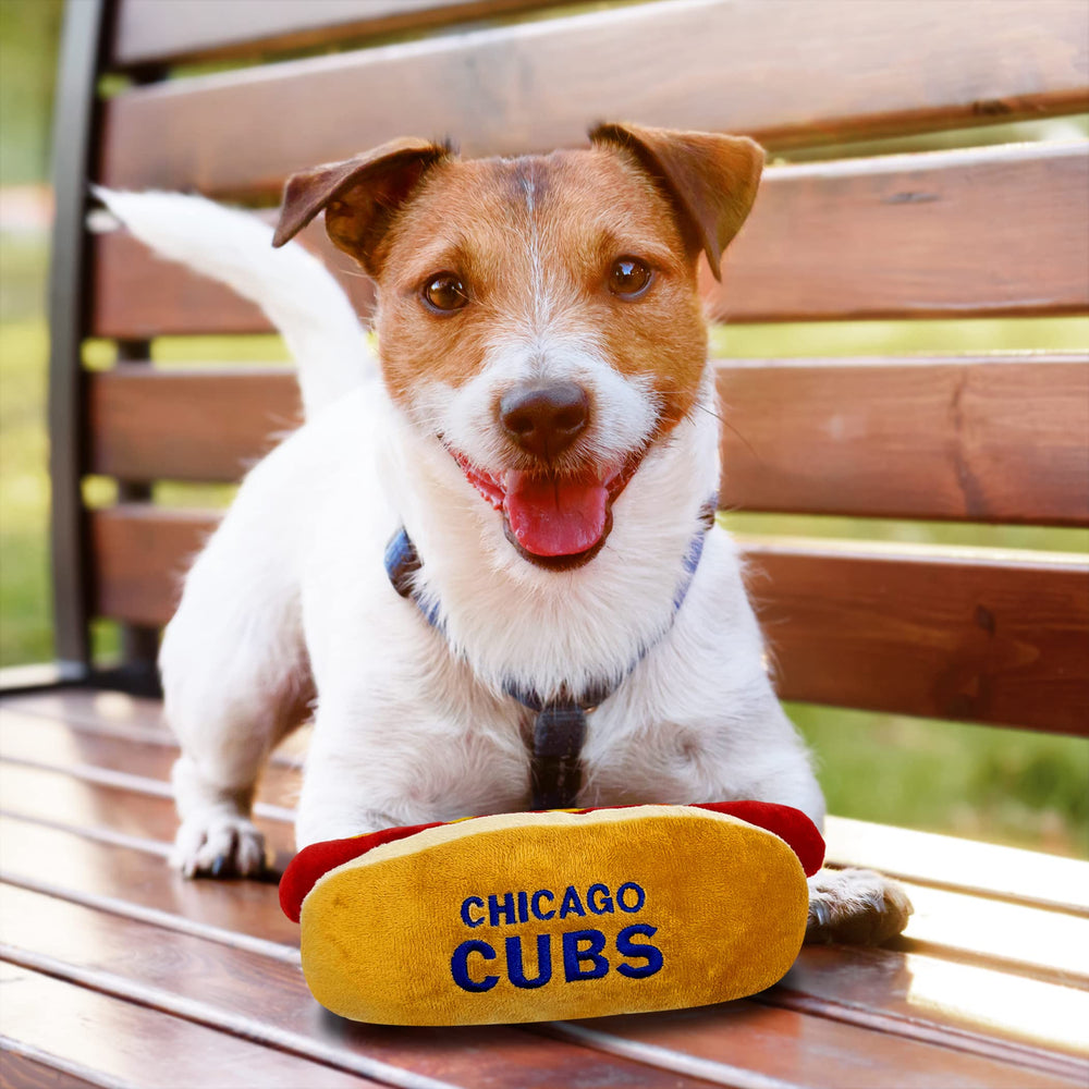 Pets First chien tenant le hot-dog en jouant pour interaction et divertissement