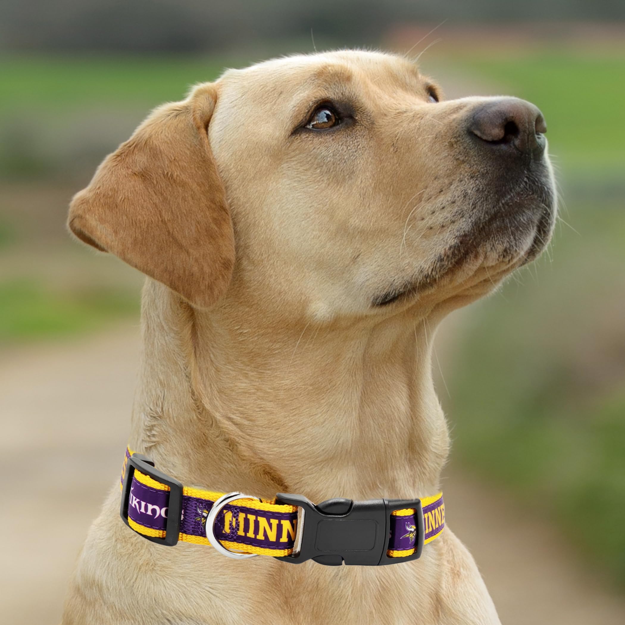 Pets First collier porté lors d’une promenade, style équipe et sécurité visibles