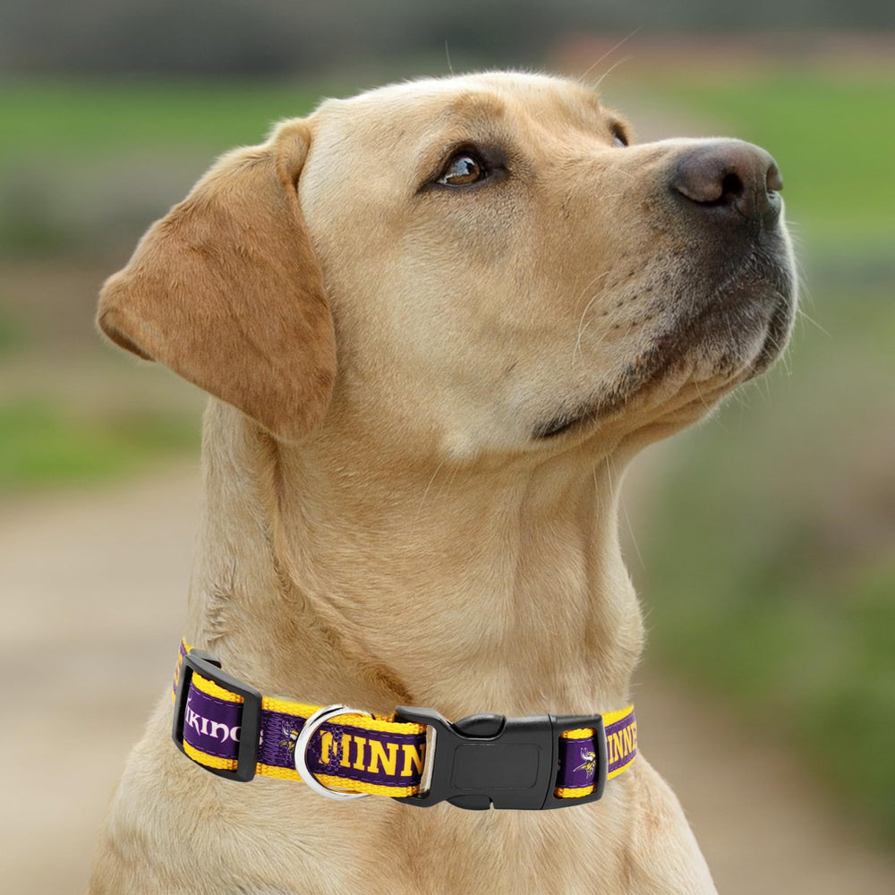 Pets First collier porté lors d’une promenade, style équipe et sécurité visibles