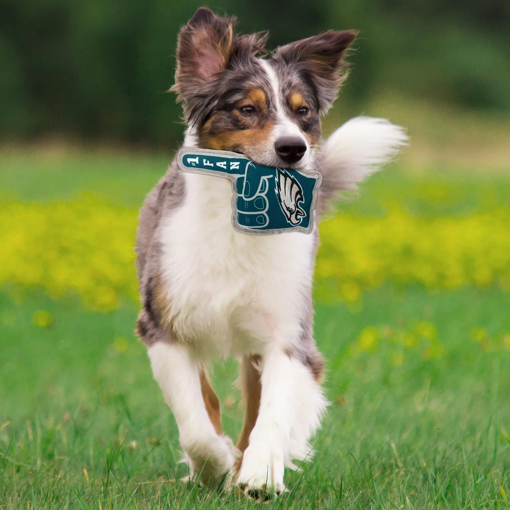 Pets First étiquette officielle NFL visible, authentifie le produit et l'équipe
