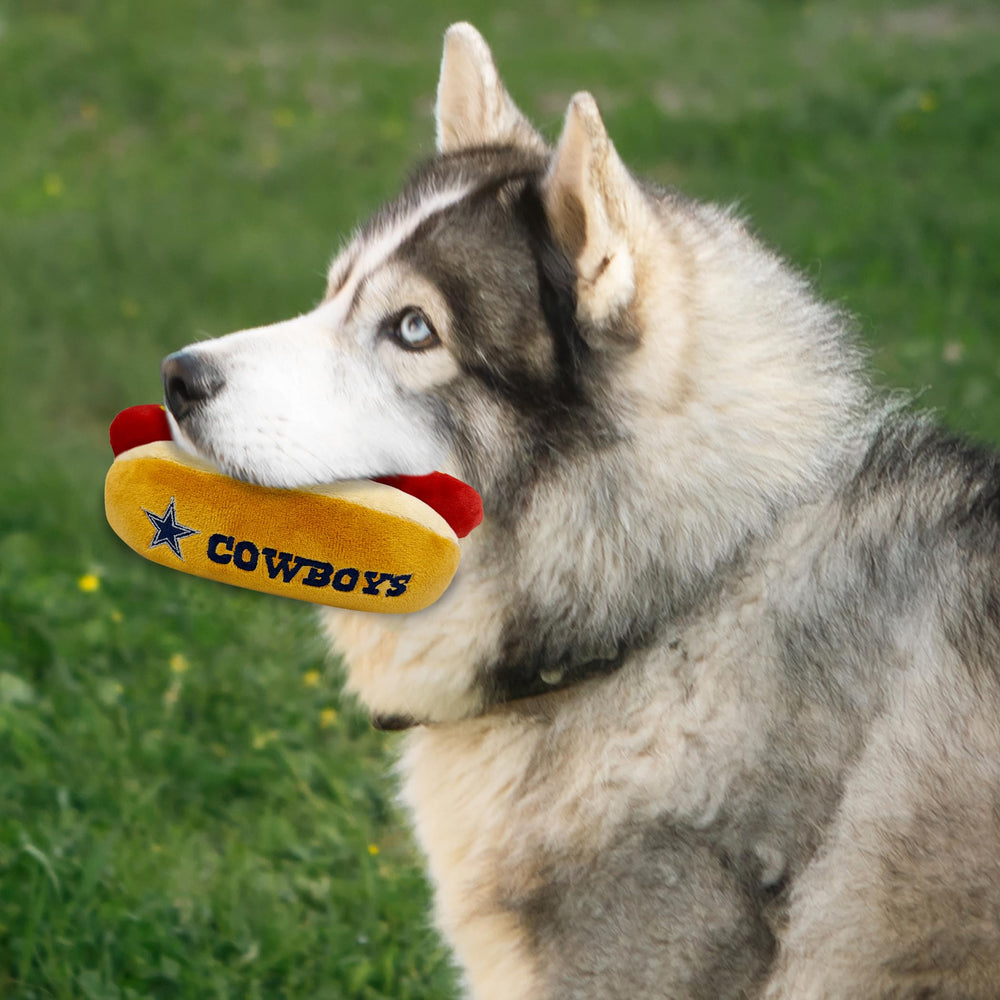 Pets First jouet hot dog en action avec chien stimulant activité physique