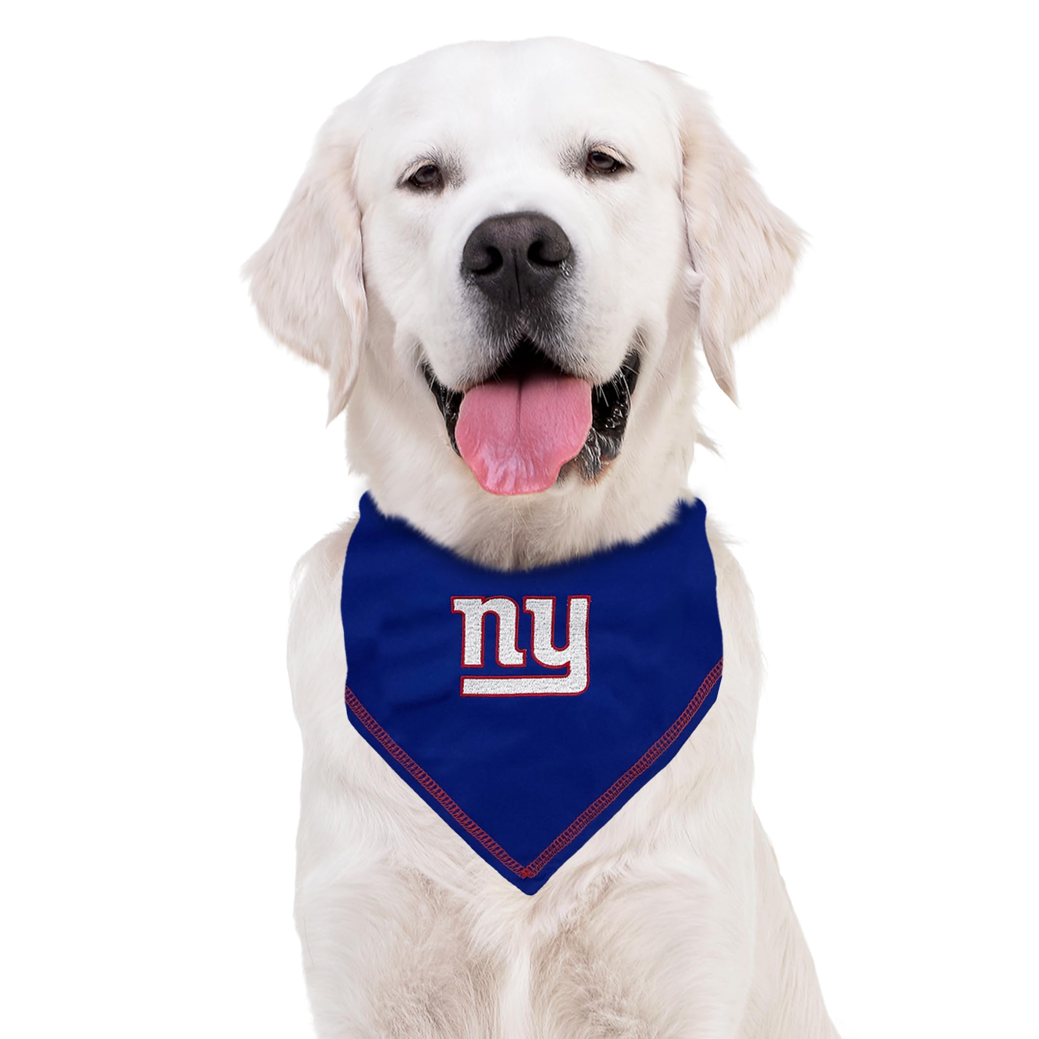 Pets First bandana taille grand/XL comparée à une règle pour choix précis