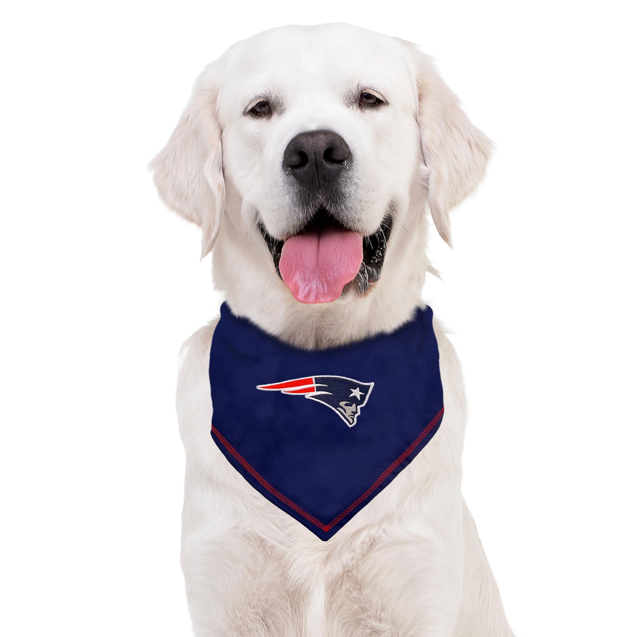 Pets First bandana porté par chat mettant en scène un accessoire confortable