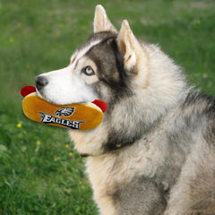 Pets First comparaison d'échelle du hot dog montrant taille 8x5x3 pouces pratique