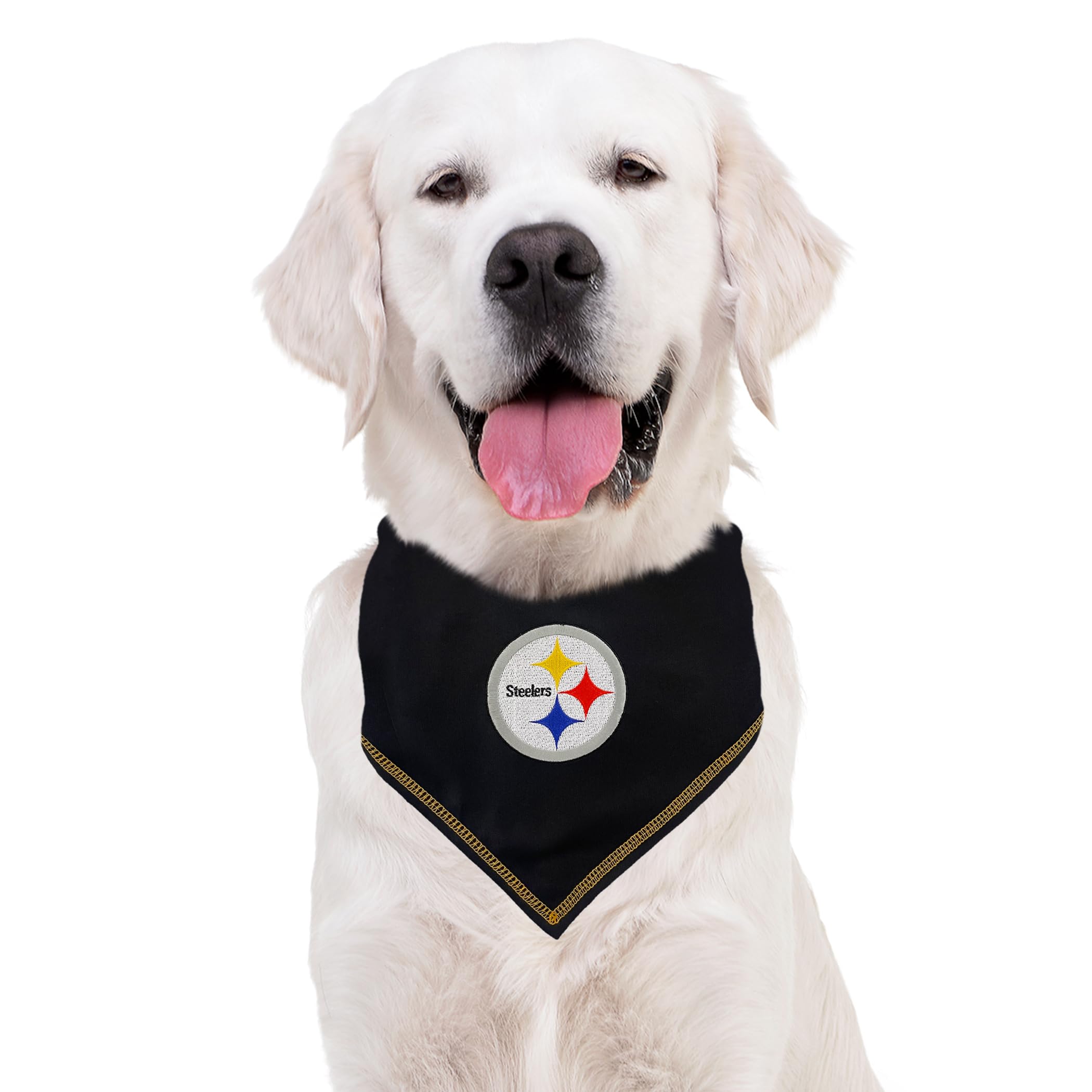 Comparaison de taille Pets First bandana grand sur règle pour choisir la bonne coupe