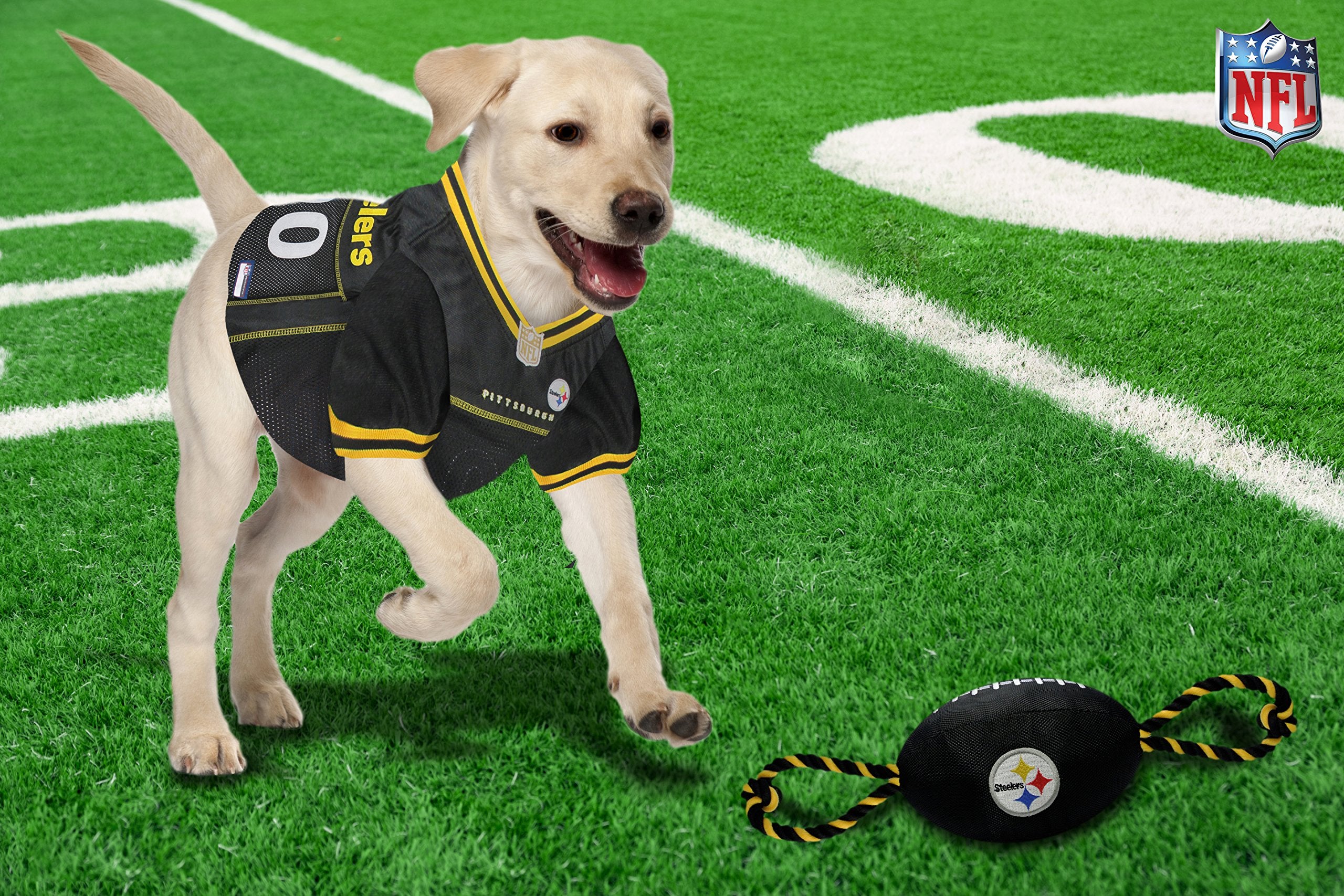 Pets First jouet en situation lifestyle lors d’un match, amuse l’animal