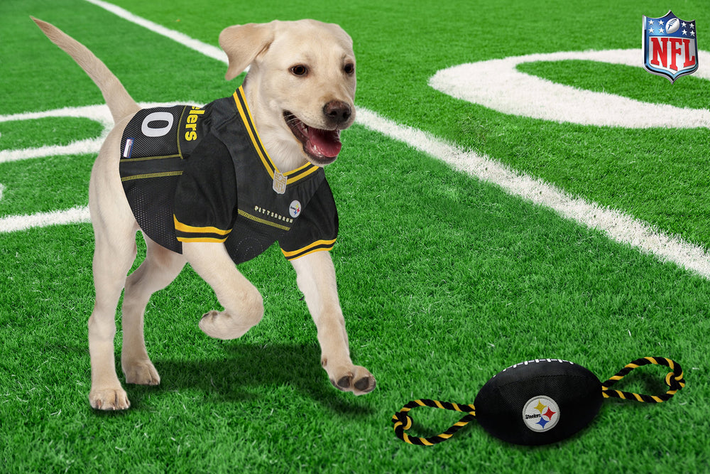 Pets First jouet en situation lifestyle lors d’un match, amuse l’animal