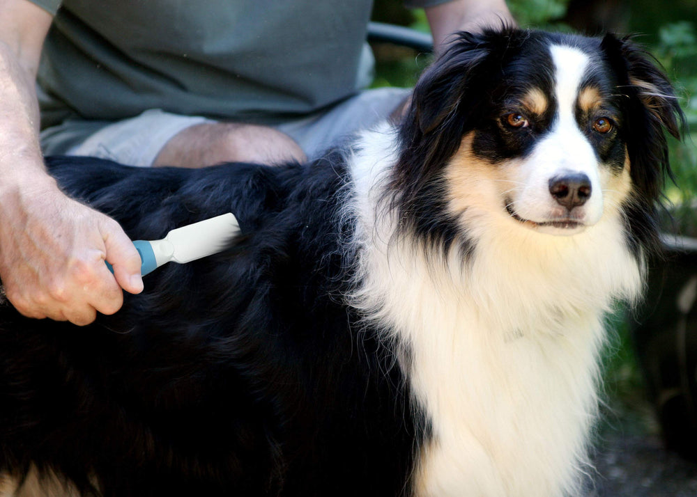 Pets First peigne démêlant sur chat derrière oreille sans douleur