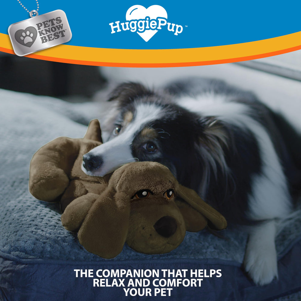 Pets Know Best HuggiePup à côté d'un chien pour montrer l'échelle pratique