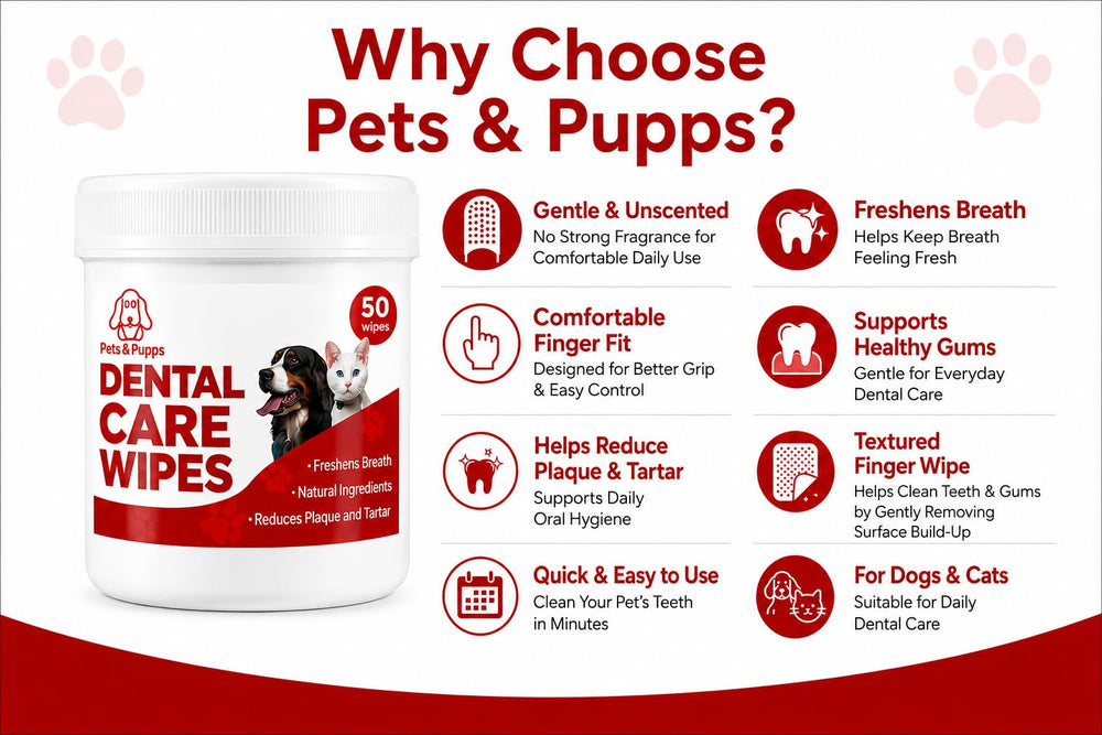 Pets & Pupps lingette utilisée sur chat, apaise gencives et rafraîchit haleine