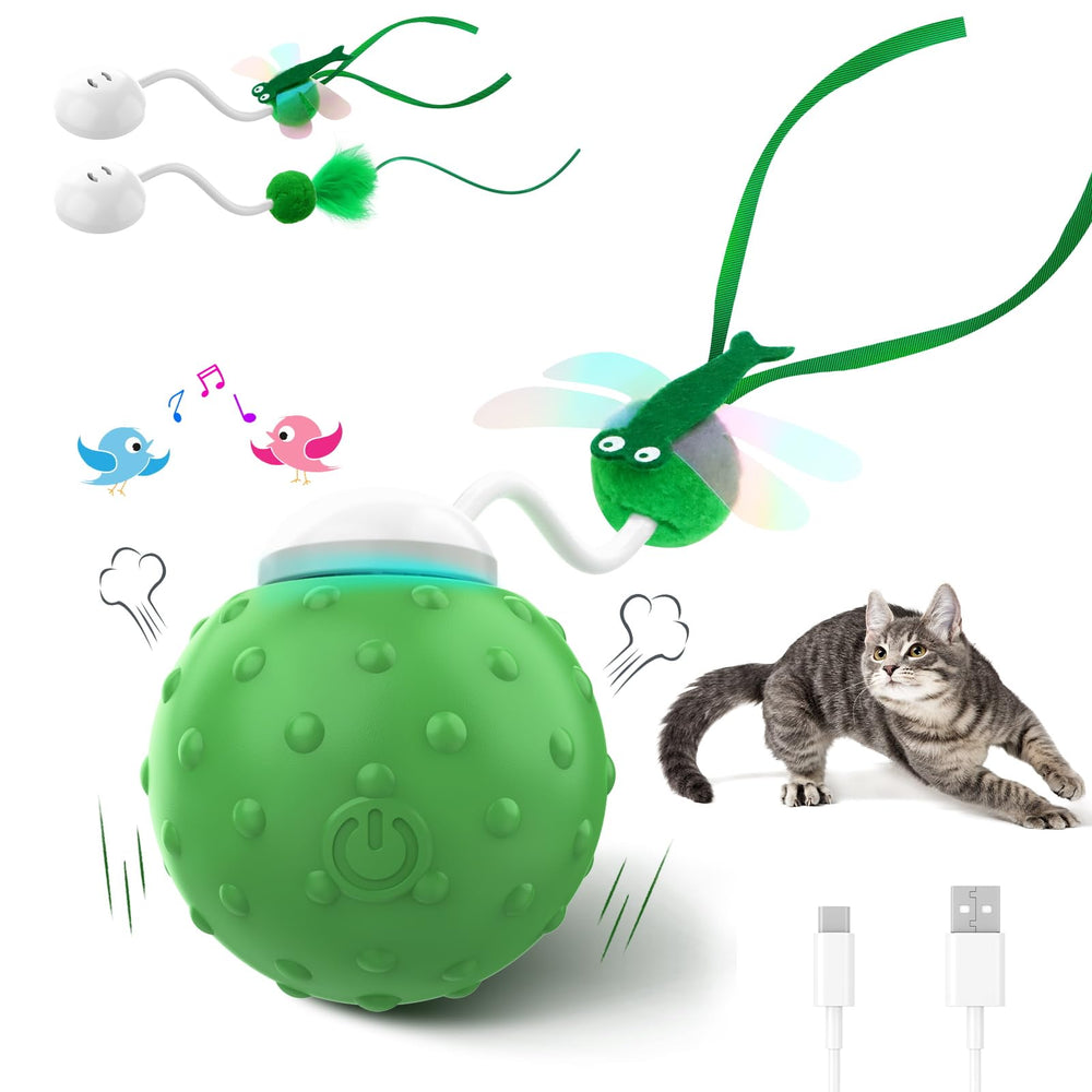 Petsaduaa balle vue avant montrant forme et design attractif pour jeu