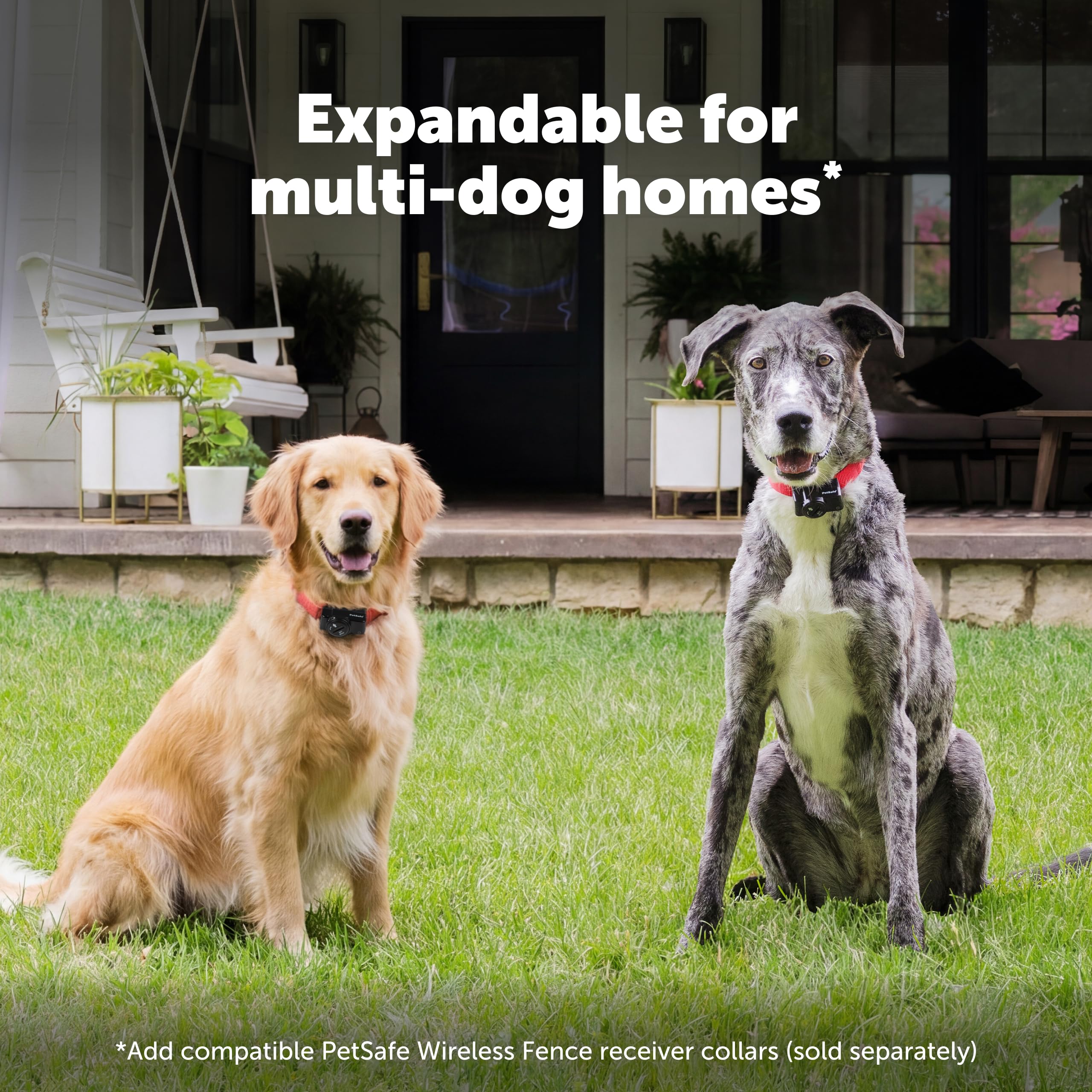 PetSafe adaptateur secteur branché, émetteur prêt et résistant
