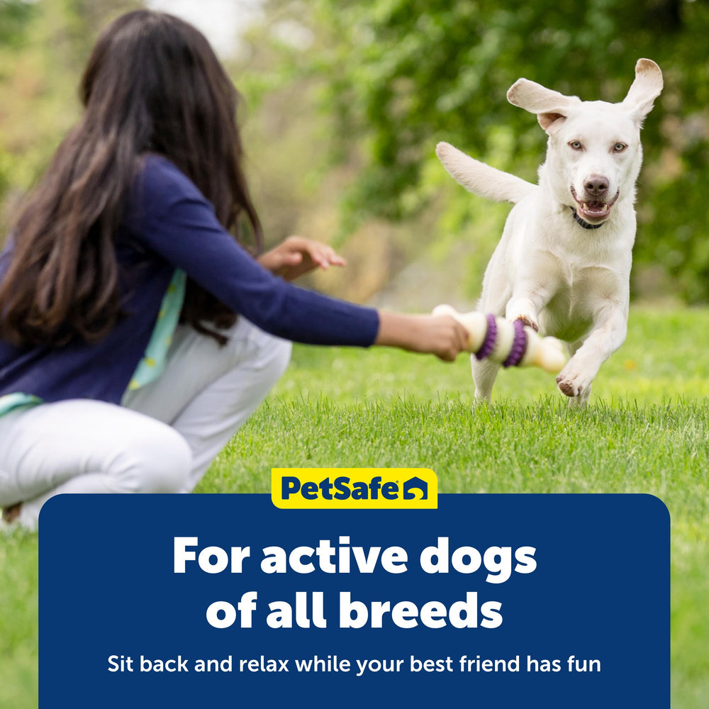 PetSafe anneau à côté d'un chiot pour évaluer la taille adaptée