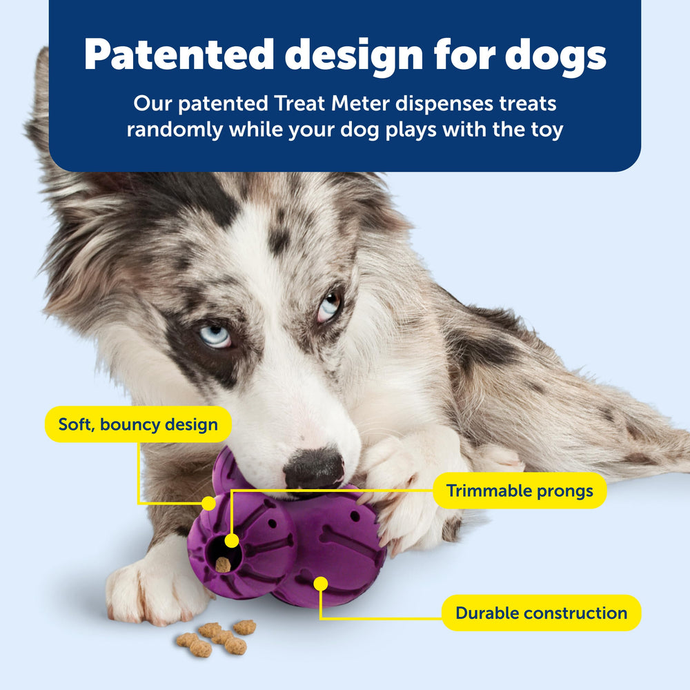 PetSafe chien interagit avec le Barnacle, encourage activité physique et mentale