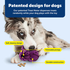 PetSafe chien interagit avec le Barnacle, encourage activité physique et mentale