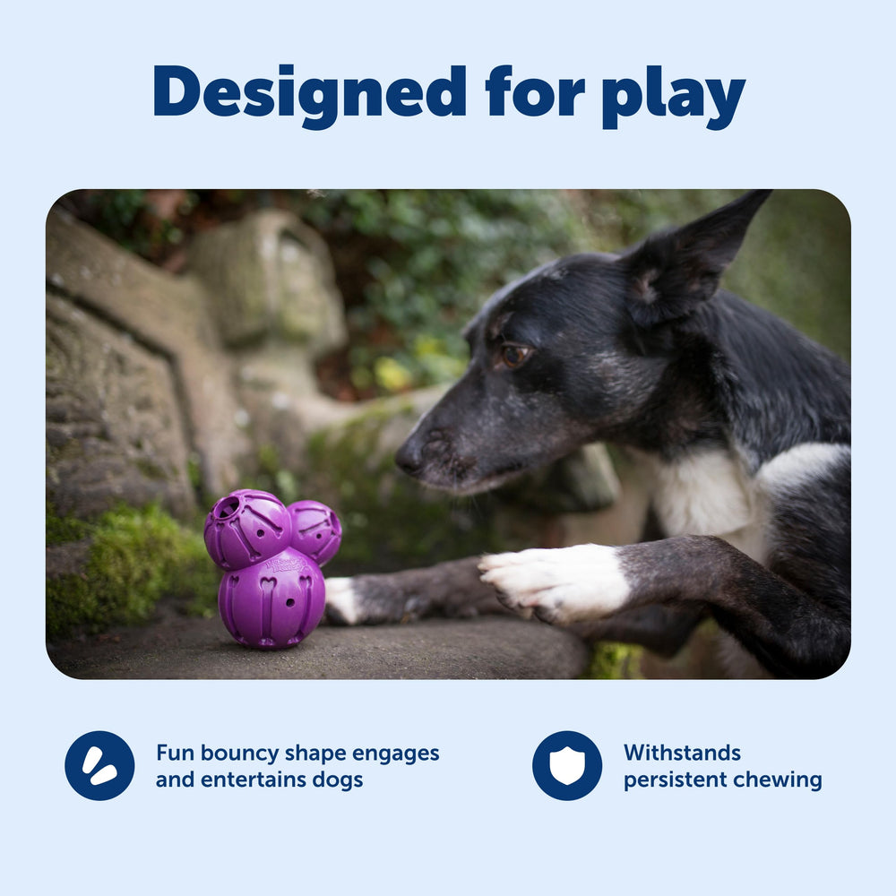 PetSafe rainures en forme d'os remplies de pâte, prolongent l'intérêt du chien