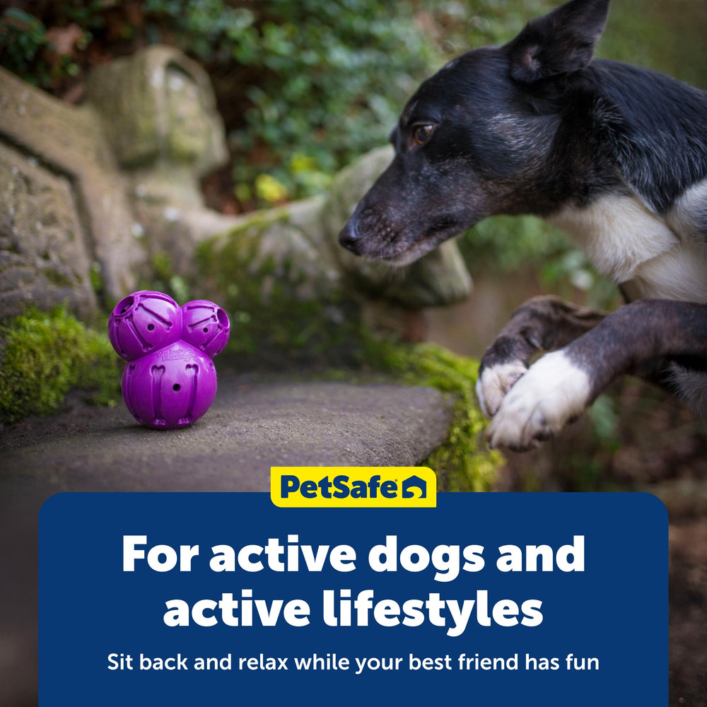 PetSafe gros plan du matériau résistant, conçu pour usages répétitifs