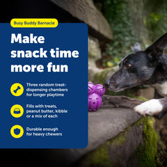 PetSafe détail des Treat Meter prongs, permet régler le débit des friandises