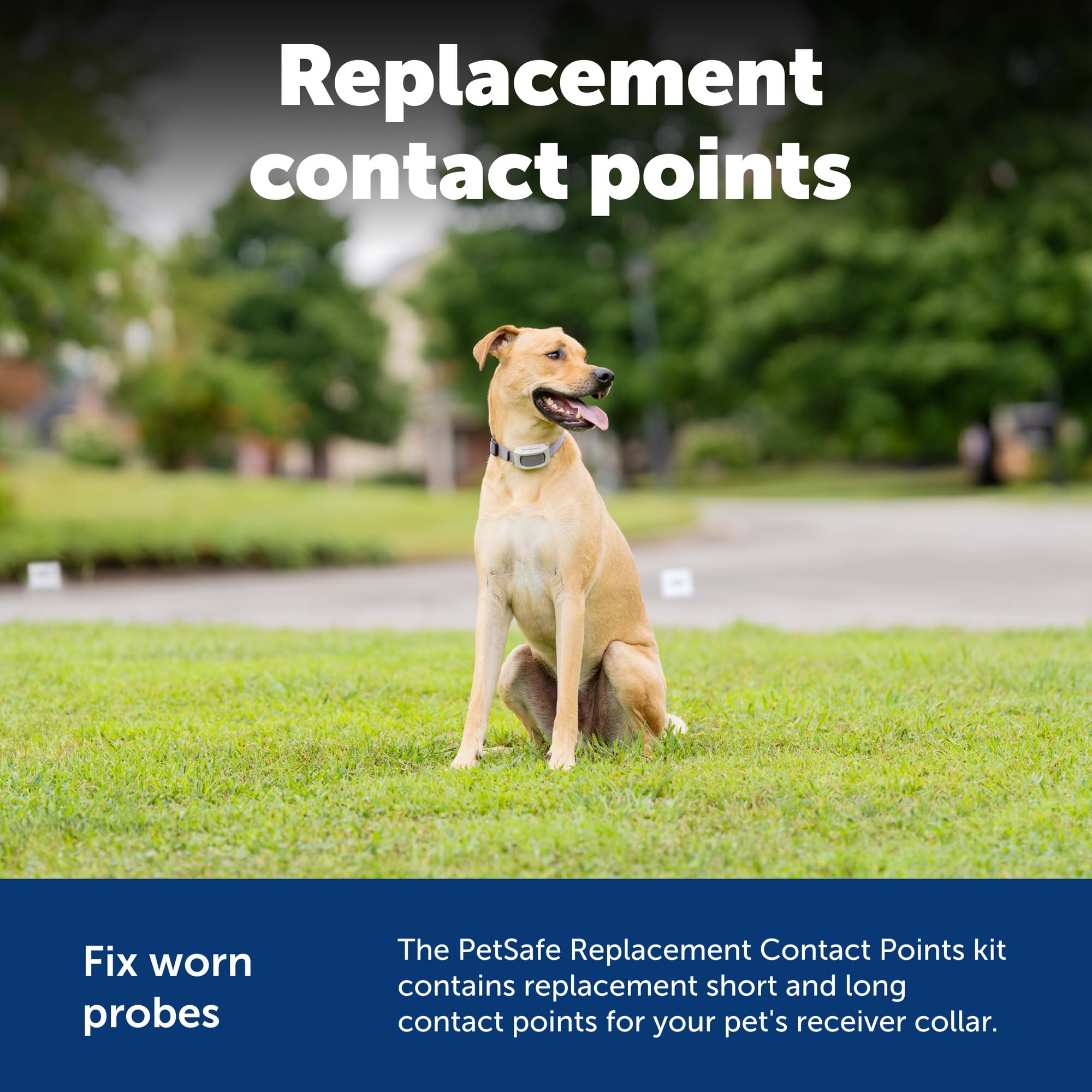 PetSafe boîte et contenu kit complet prêt à remplacer