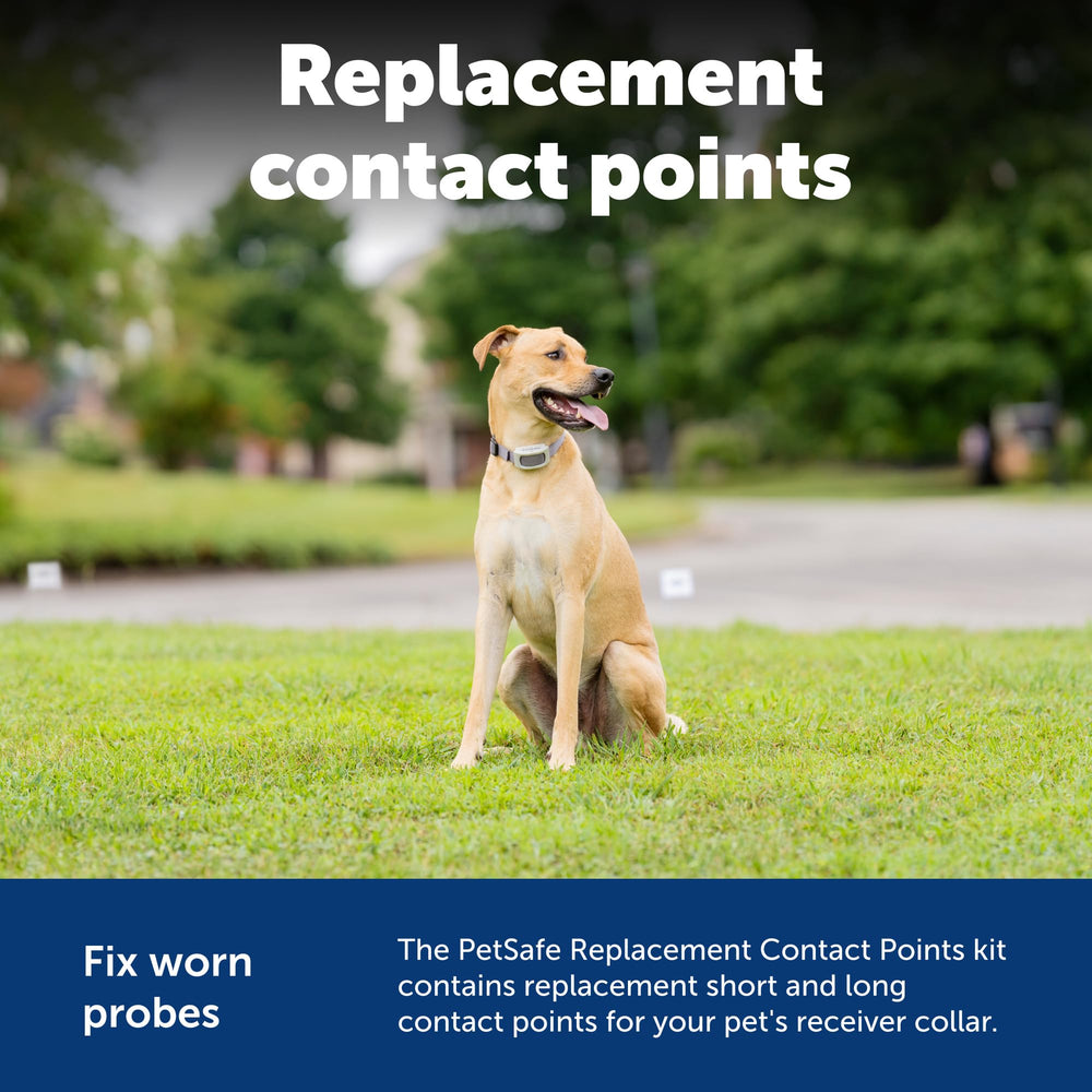 PetSafe boîte et contenu kit complet prêt à remplacer