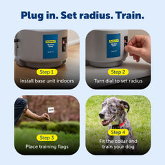 PetSafe contenu du kit posé, déballage clair et prêt à installer