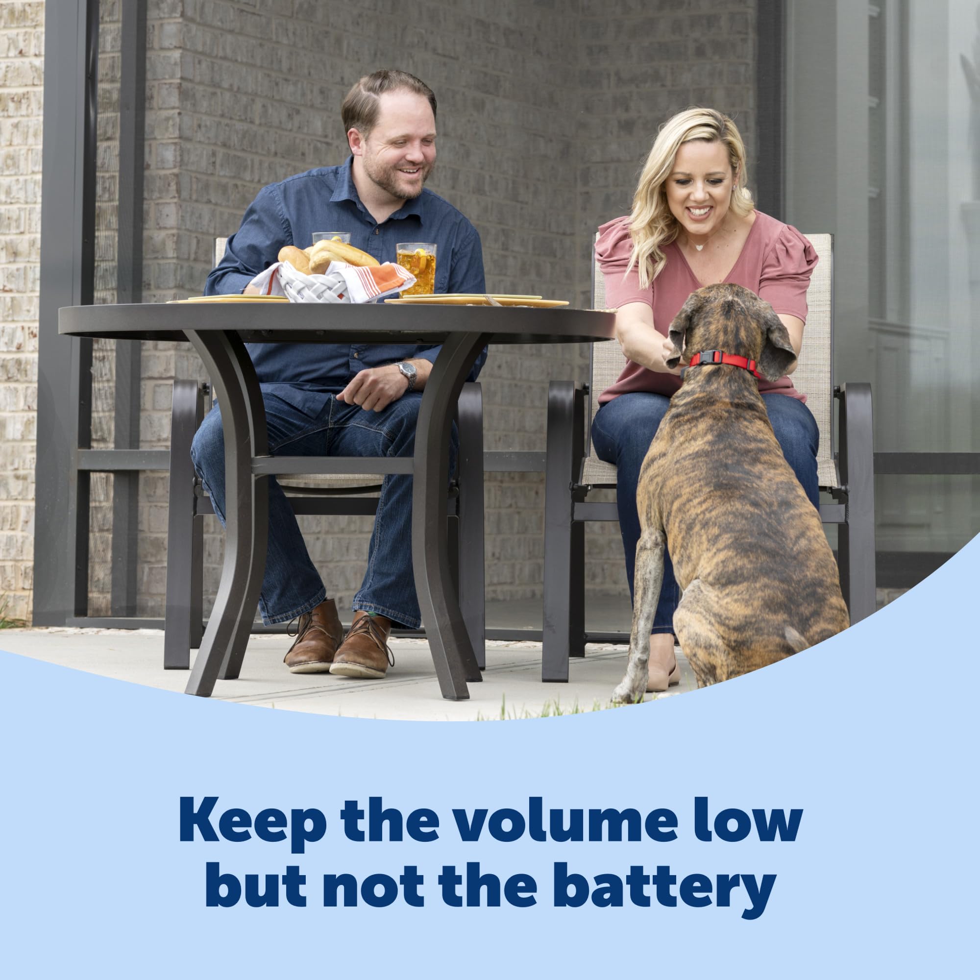 PetSafe emballage avec pile RFA-67 incluse pour installation immédiate et facile