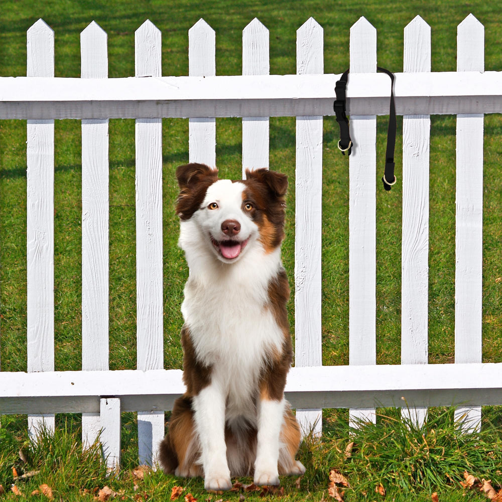 PetSafe boucle break-away en gros plan, pour libération sûre sous traction