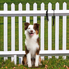 PetSafe boucle break-away en gros plan, pour libération sûre sous traction