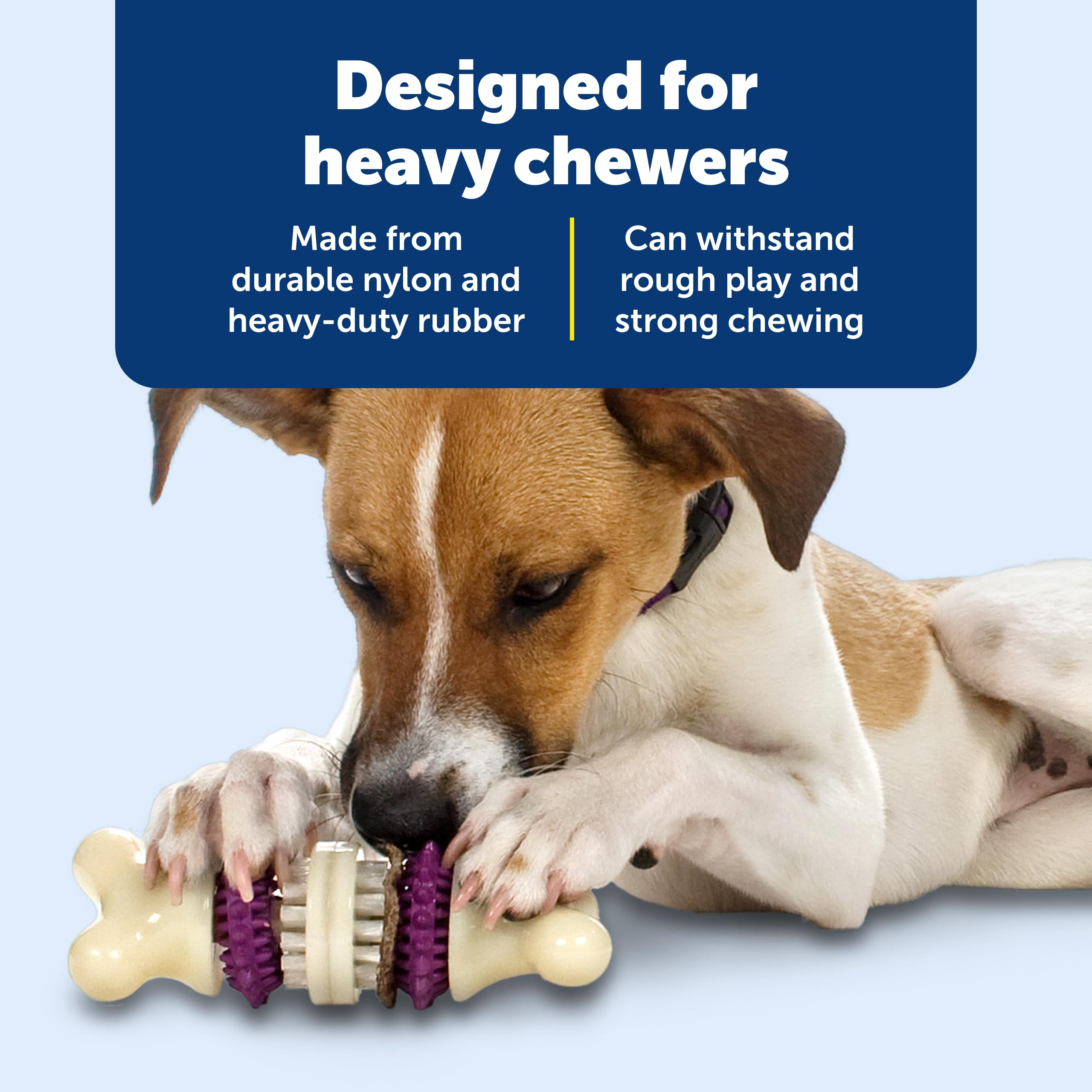 PetSafe Bristle Bone avec anneau de friandises montrant la distribution contrôlée des récompenses