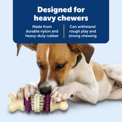 PetSafe Bristle Bone avec anneau de friandises montrant la distribution contrôlée des récompenses