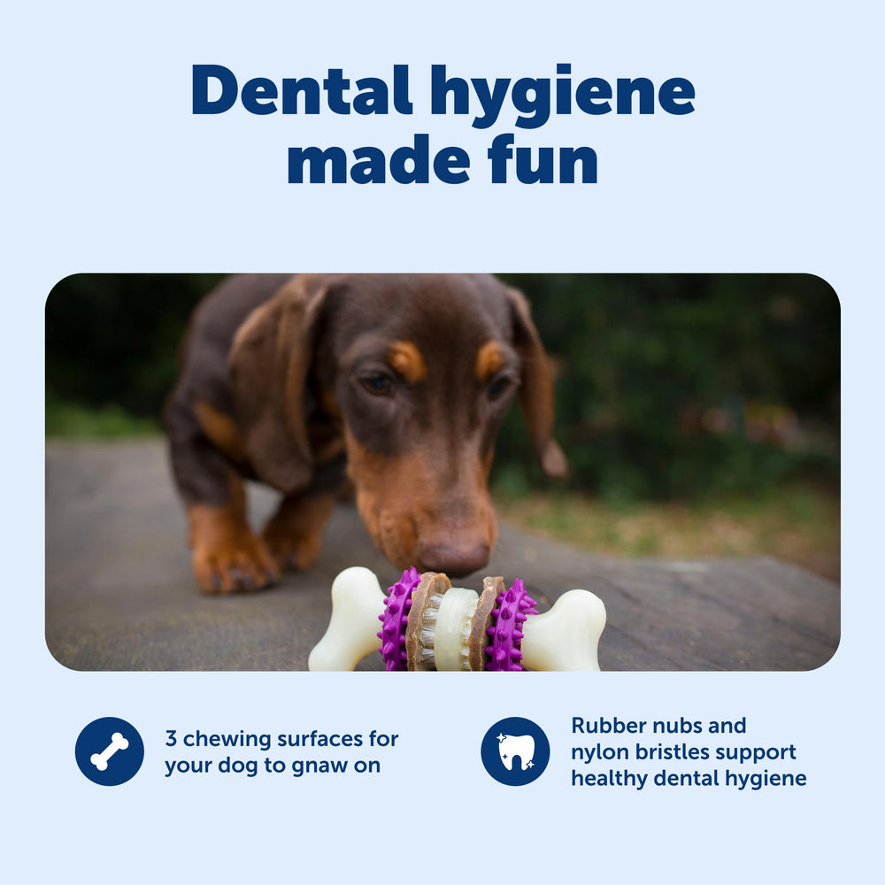 PetSafe Bristle Bone gros plan des brins en nylon pour aider à nettoyer les dents