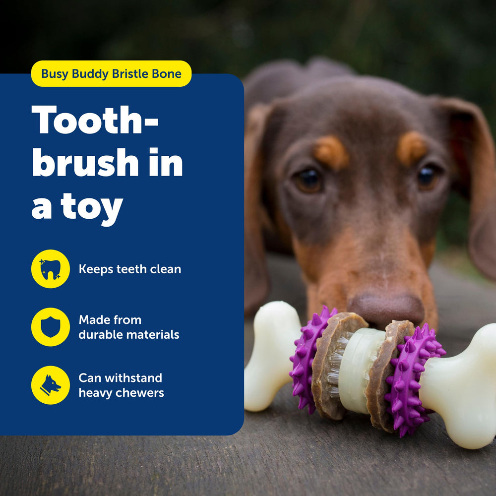 PetSafe Bristle Bone vue de profil mettant en valeur les sections en caoutchouc résistantes