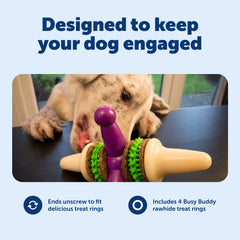 PetSafe Busy Buddy Jack avec anneaux de friandise inclus pour motiver le jeu