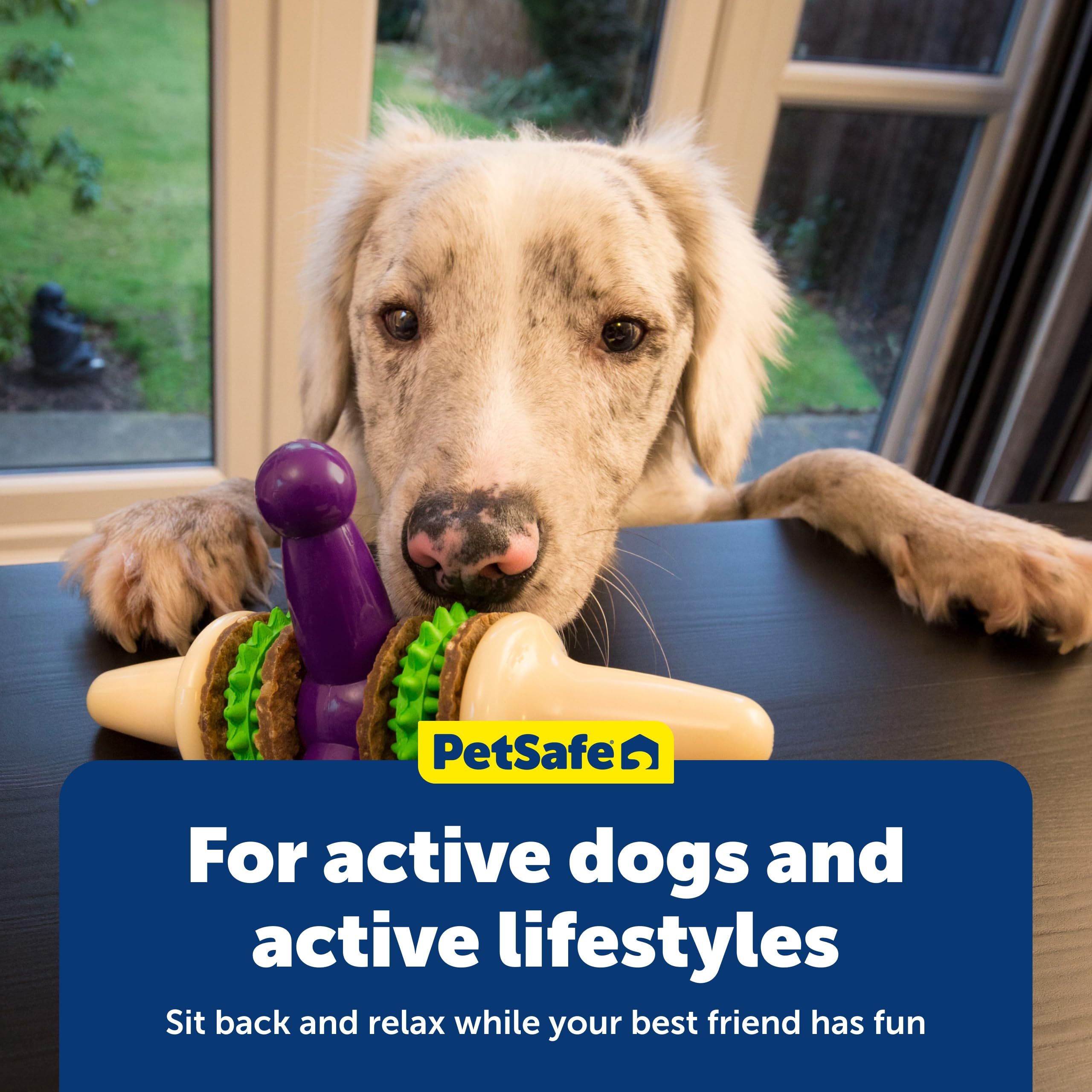 PetSafe Busy Buddy Jack posé à côté d’une règle pour montrer l’échelle et la taille