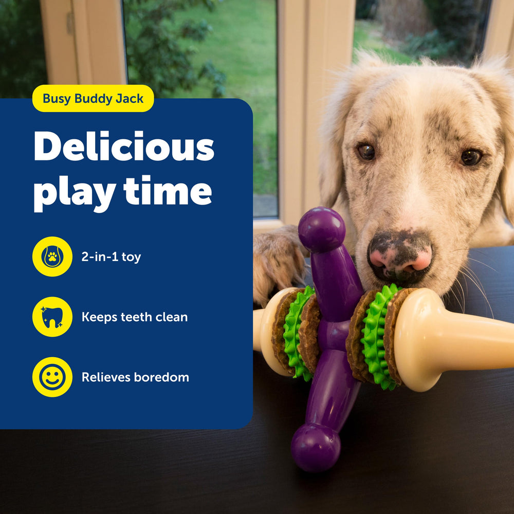 PetSafe Busy Buddy Jack gros plan sur la texture en caoutchouc pour accroître l’intérêt