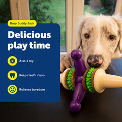 PetSafe Busy Buddy Jack gros plan sur la texture en caoutchouc pour accroître l’intérêt