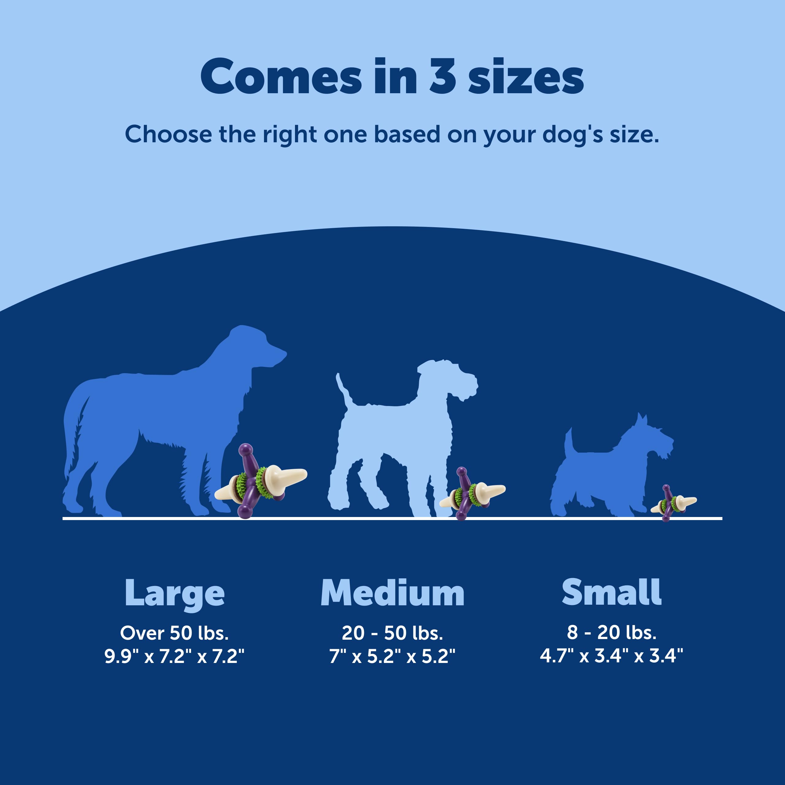 PetSafe Busy Buddy Jack démonté pour nettoyage facile et hygiène pratique