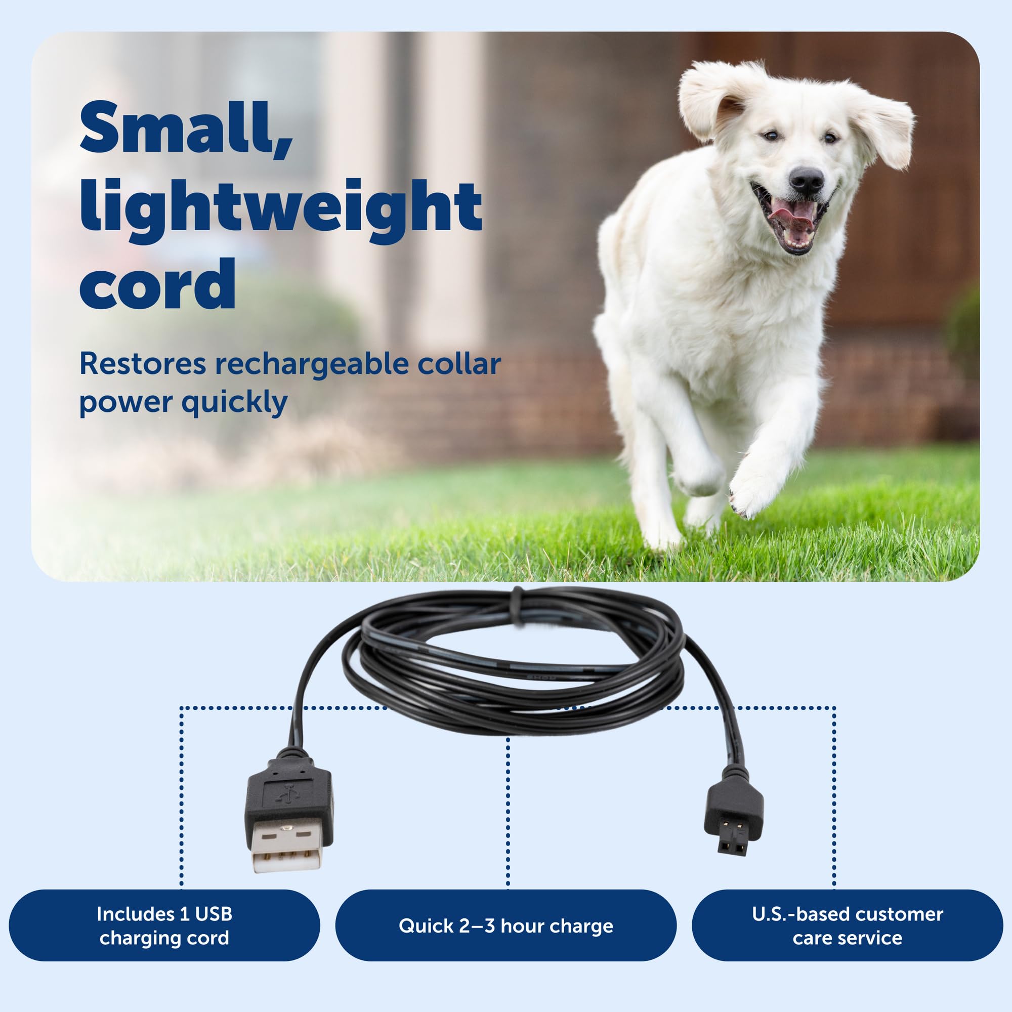 Comparaison d'échelle PetSafe câble avec clé USB pour montrer sa compacité