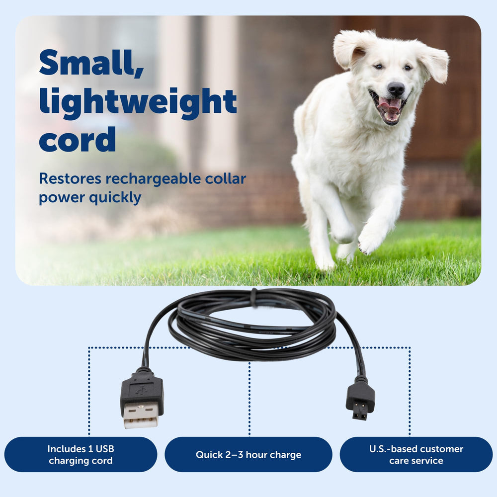 Comparaison d'échelle PetSafe câble avec clé USB pour montrer sa compacité