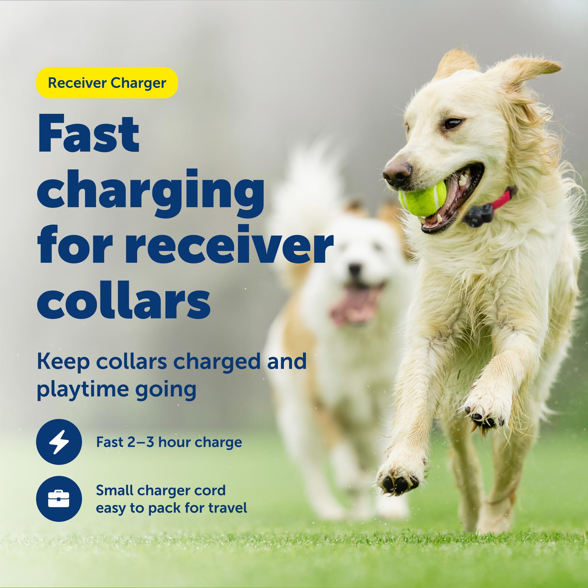 Gros plan sur la connexion du câble au récepteur PetSafe pour une recharge rapide