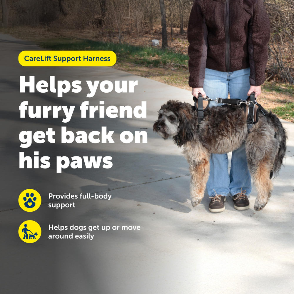 PetSafe gros plan rembourrage pour confort et réduction des frottements