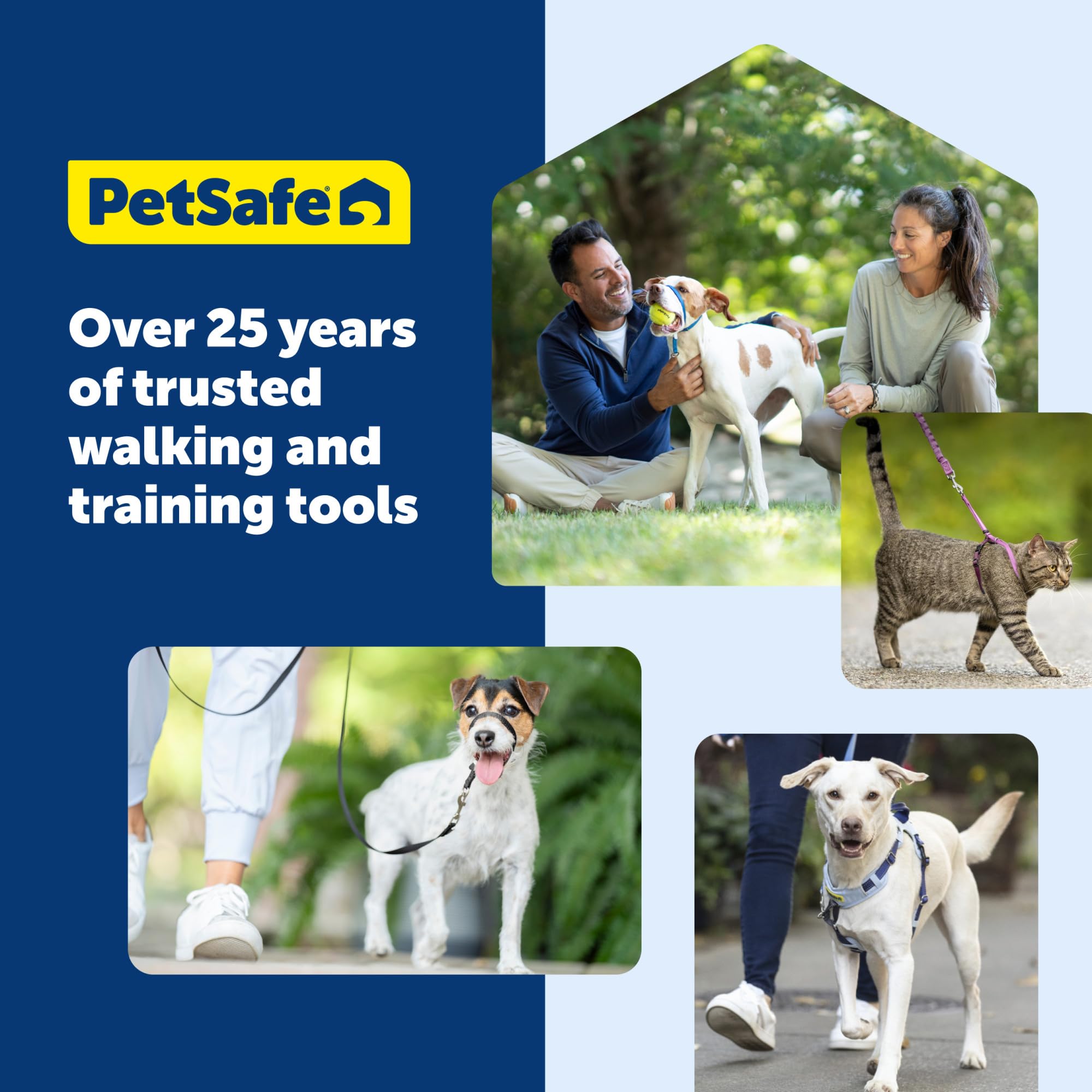 PetSafe harnais aidant chien à monter des escaliers en sécurité