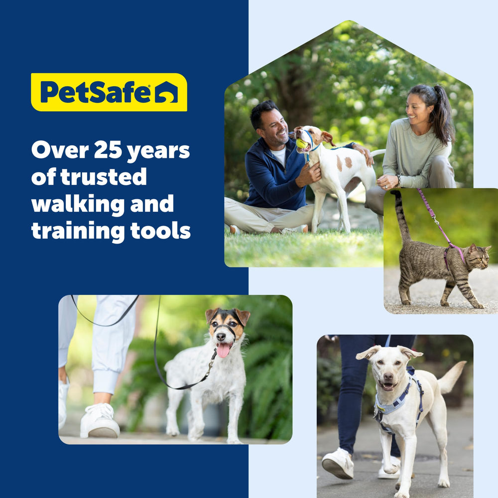 PetSafe harnais aidant chien à monter des escaliers en sécurité