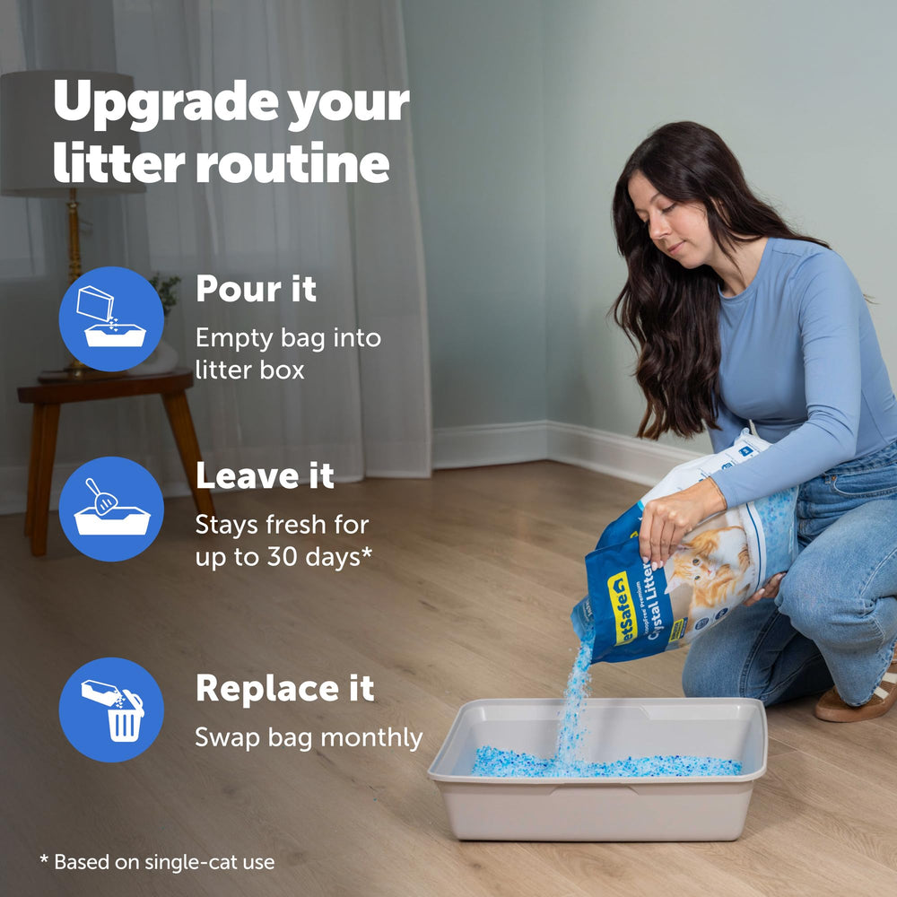 PetSafe chat utilisant la litière pour confort et propreté domestique