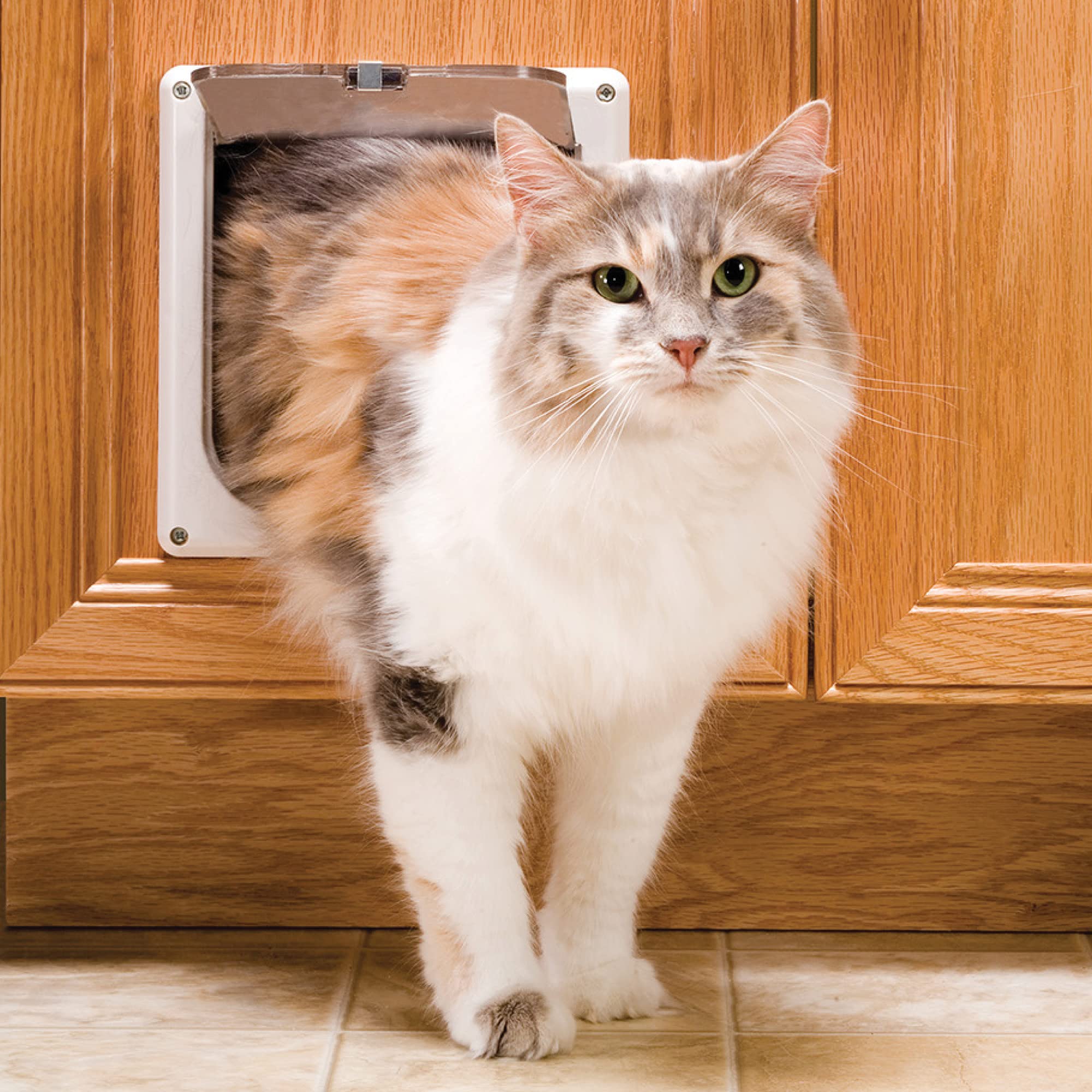 PetSafe chatière battant transparent gros plan facilitant lecture du passage