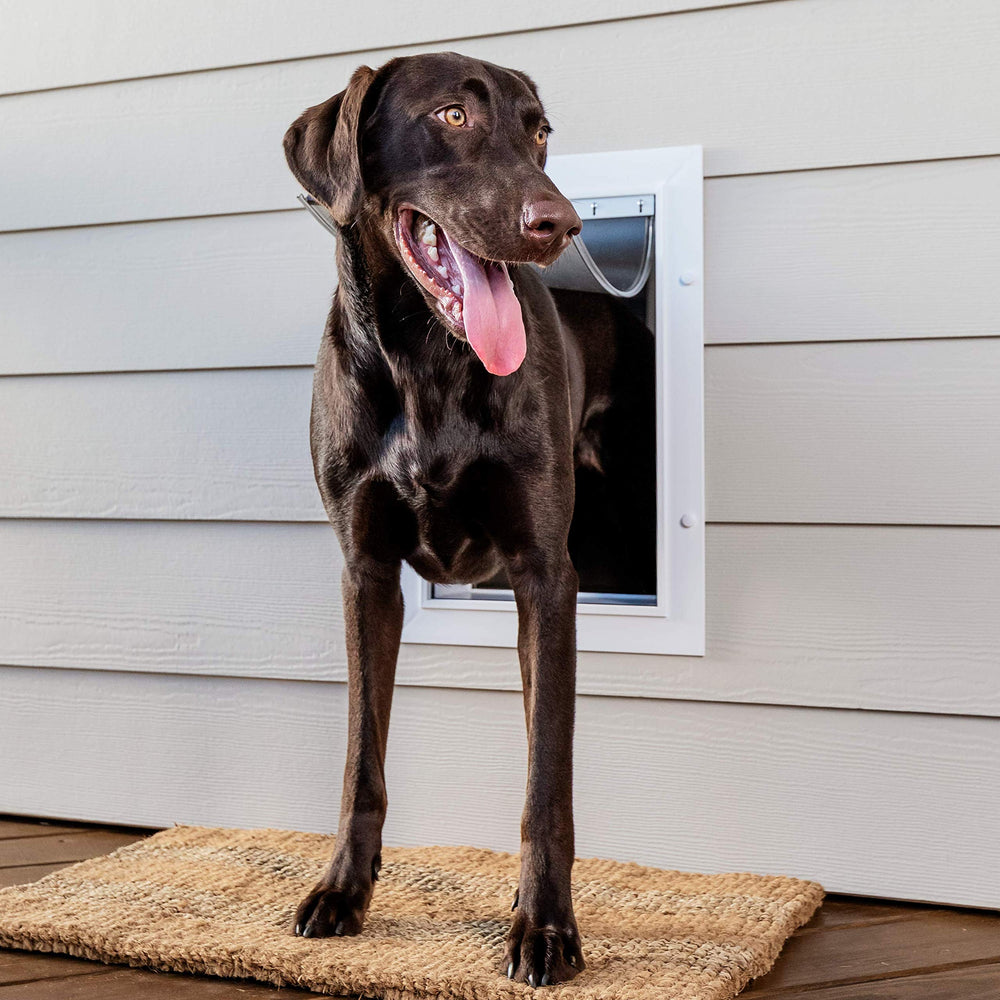PetSafe gros plan sur la double battante montrant isolation et étanchéité
