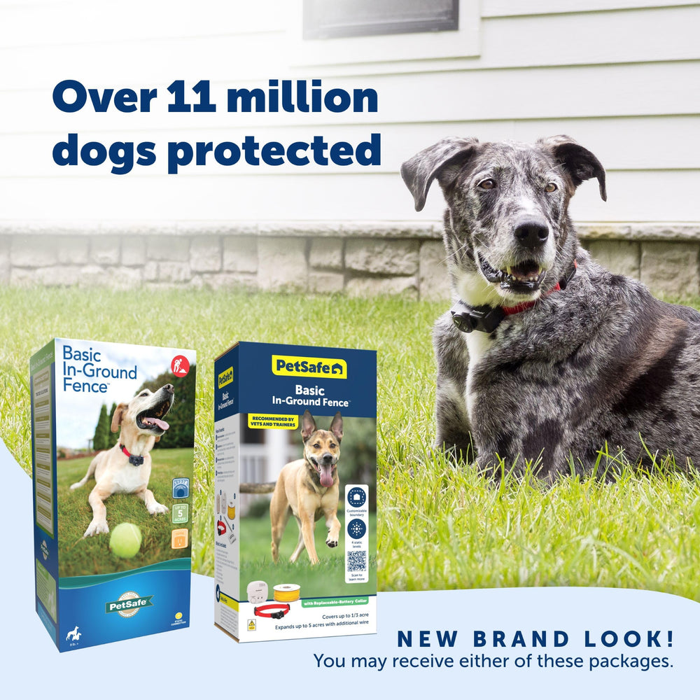 PetSafe chien courant librement dans la cour, jeu sûr hors laisse et tranquillité