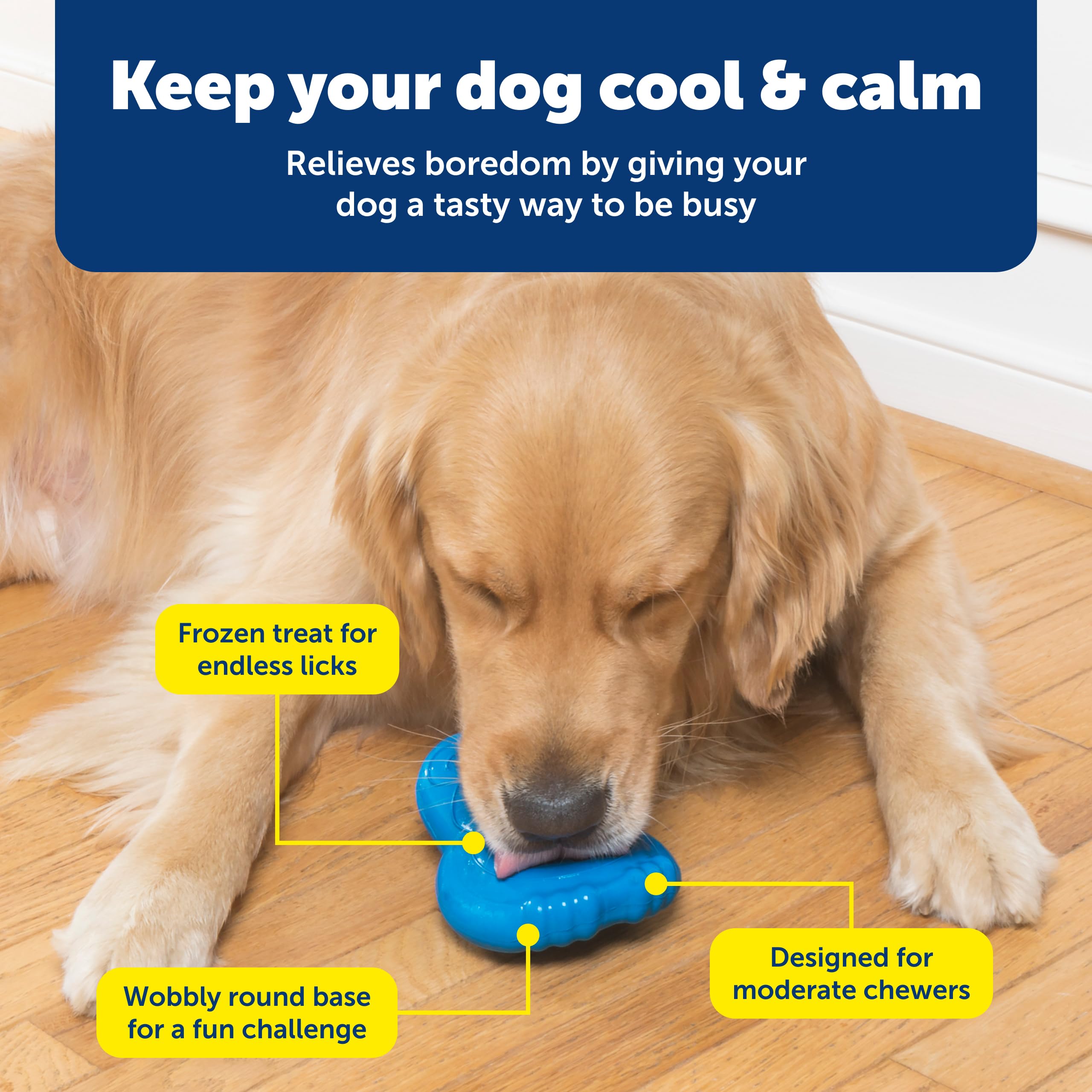 PetSafe chien jouant avec le Chilly Penguin pour stimulation mentale